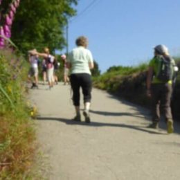 Pilgrim walking the Camino