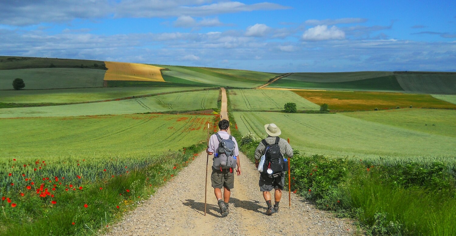 Camino 2020 - two pilgrims walking into the landscape
