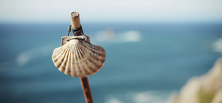 scallop shell Finisterre