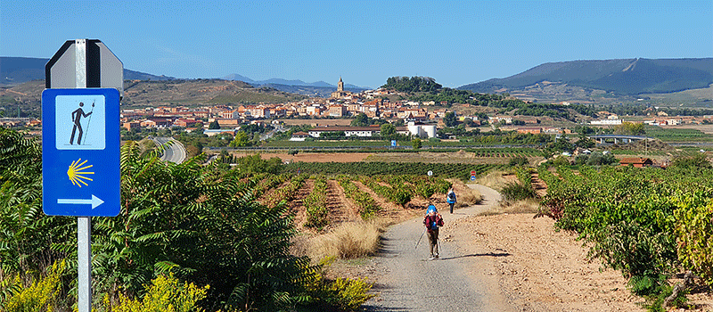 Camino experience tours