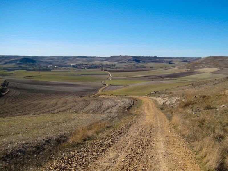 pilgrims dirt road fields on the Camino Frances