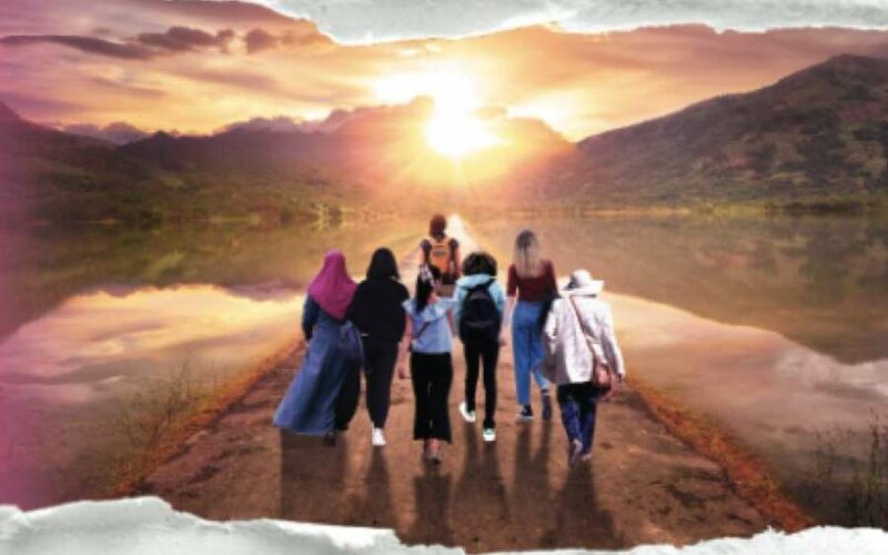 a book cover by Shannon Wallis
