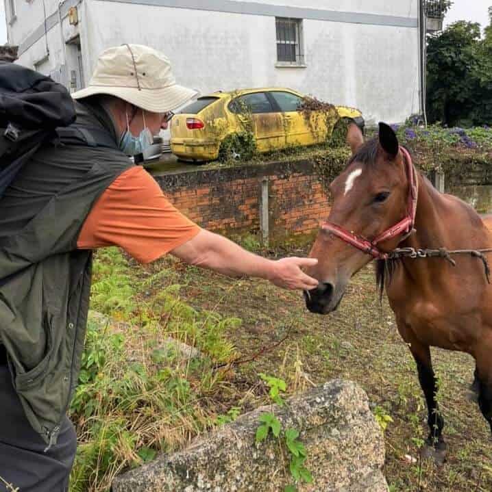 a picture of a pilgrim with a horse