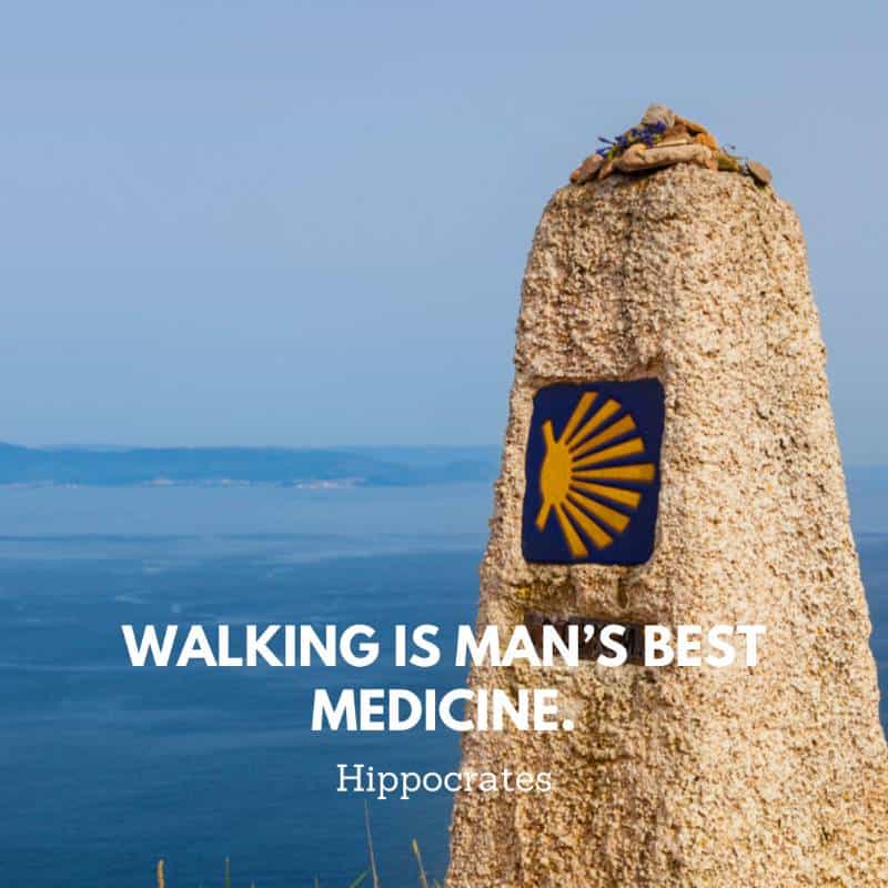 "Walking is man's best medicine." - Hippocrates quote
