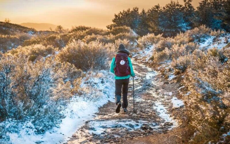 pilgrim walking the camino in winter Autumn webinar Follow the Camino